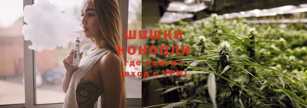 индика Чегем