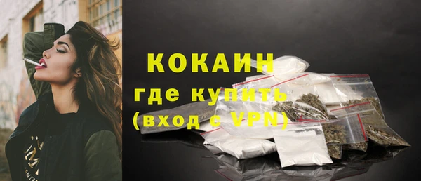 прущие грибы Балабаново