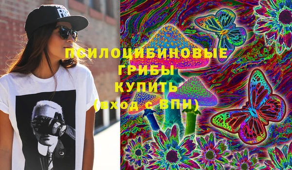 прущие грибы Балабаново