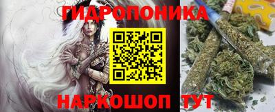 шишки Краснодар
