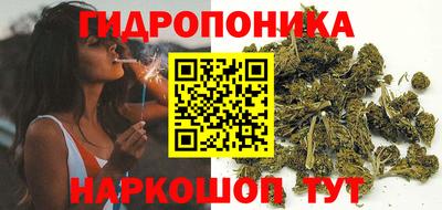 шишки Краснодар