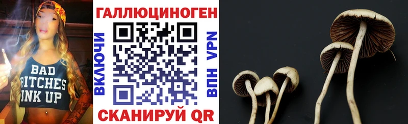 Псилоцибиновые грибы прущие грибы  купить закладку  Бирск 