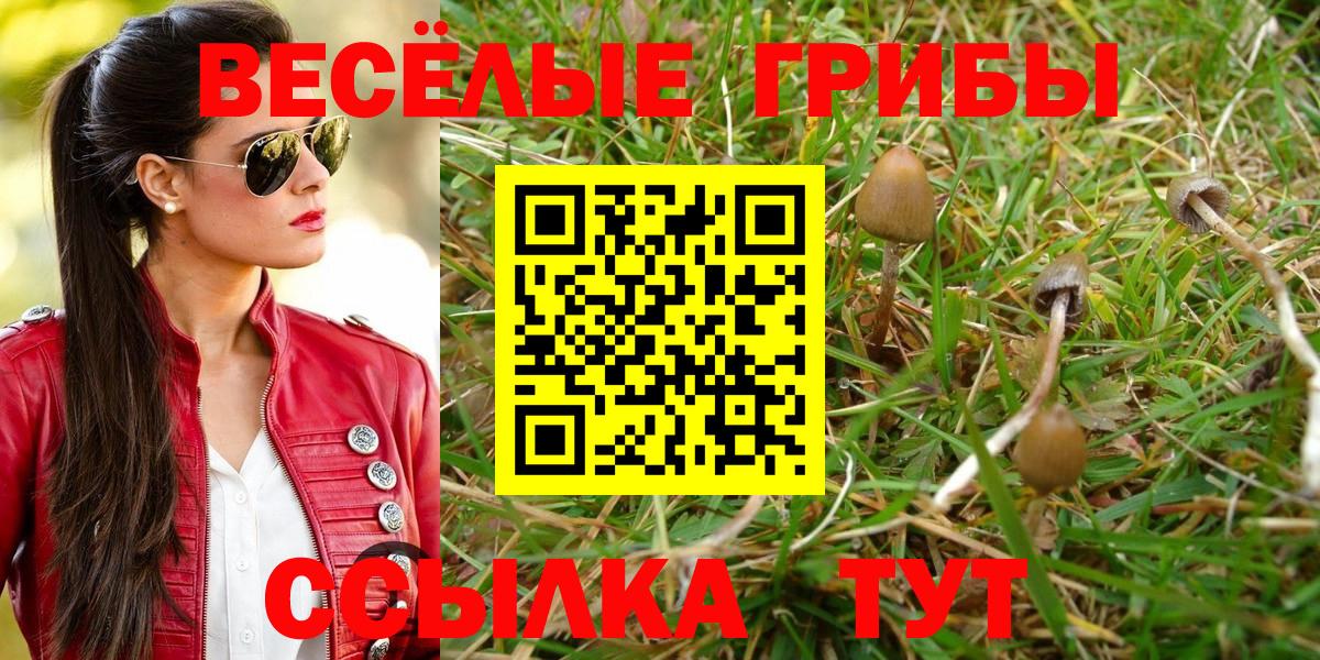 Бирск  Галлюциногенные грибы прущие грибы  что такое   Вход с VPN 